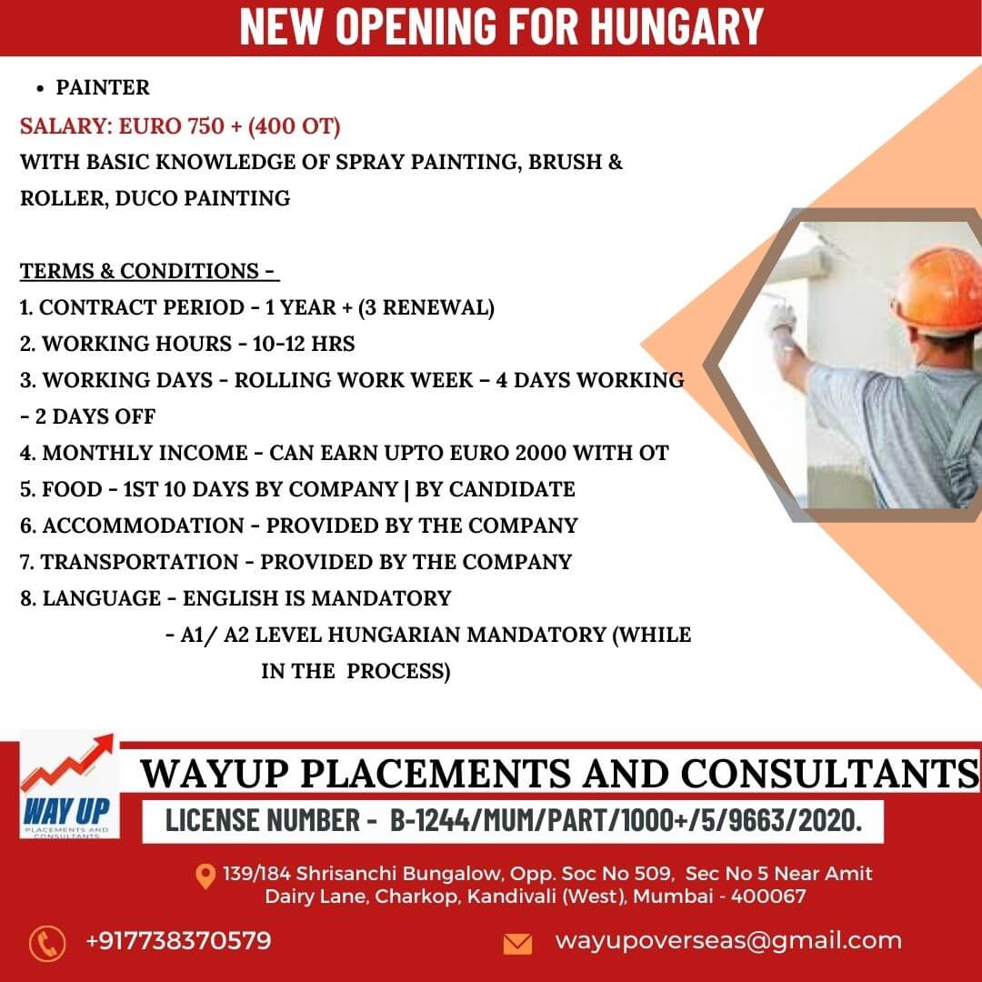 NEW OPENING FOR PAINTERS IN HUNGARY