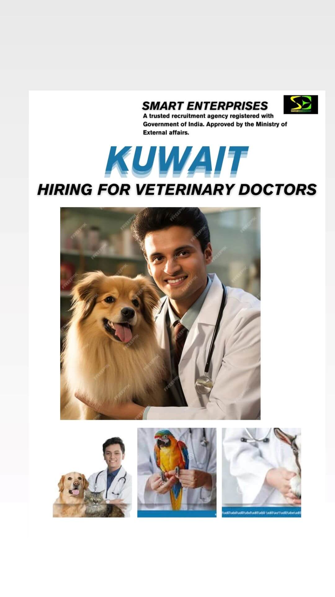 HIRING VETERINARY DOCTOR FOR KUWAIT