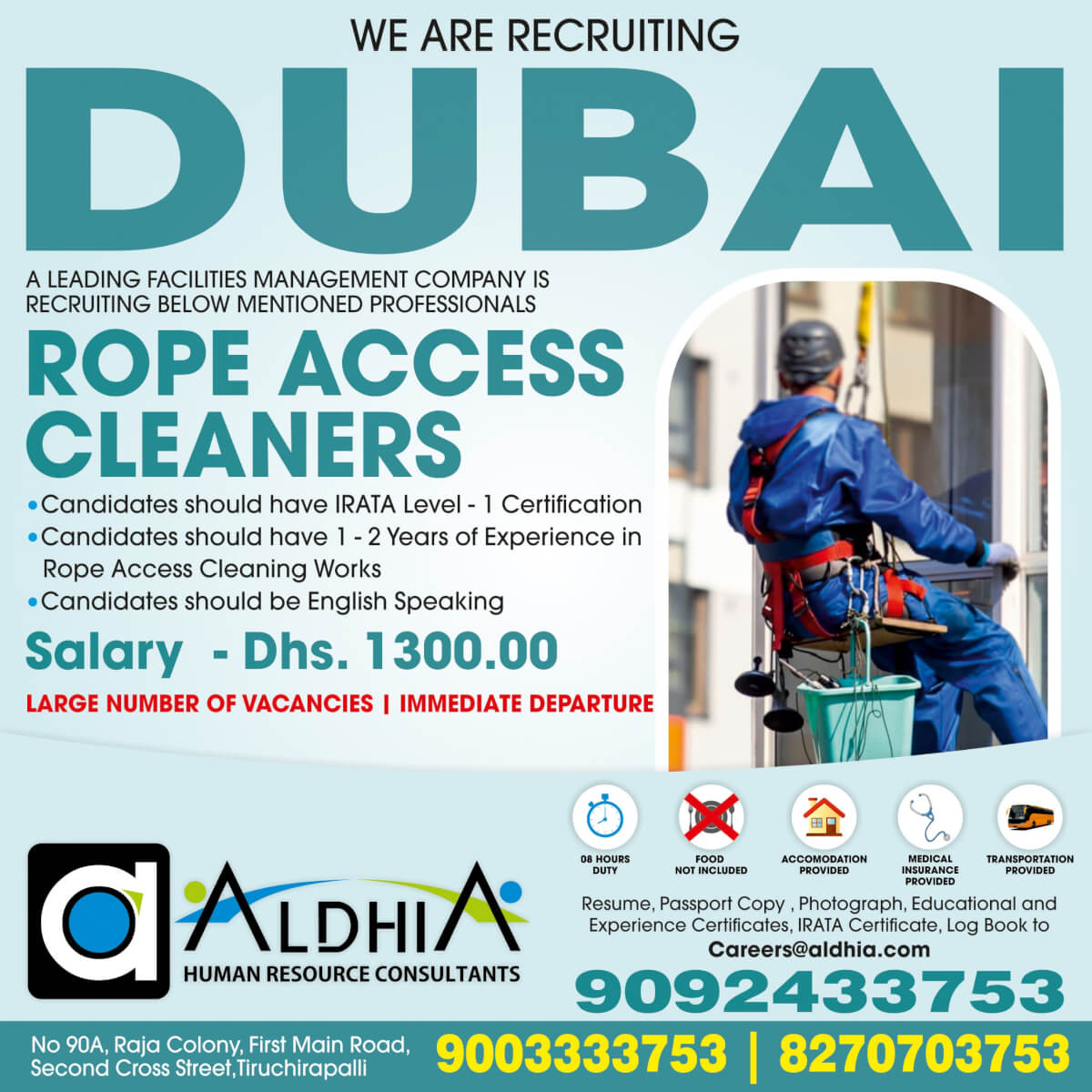 Rope Access Cleaners