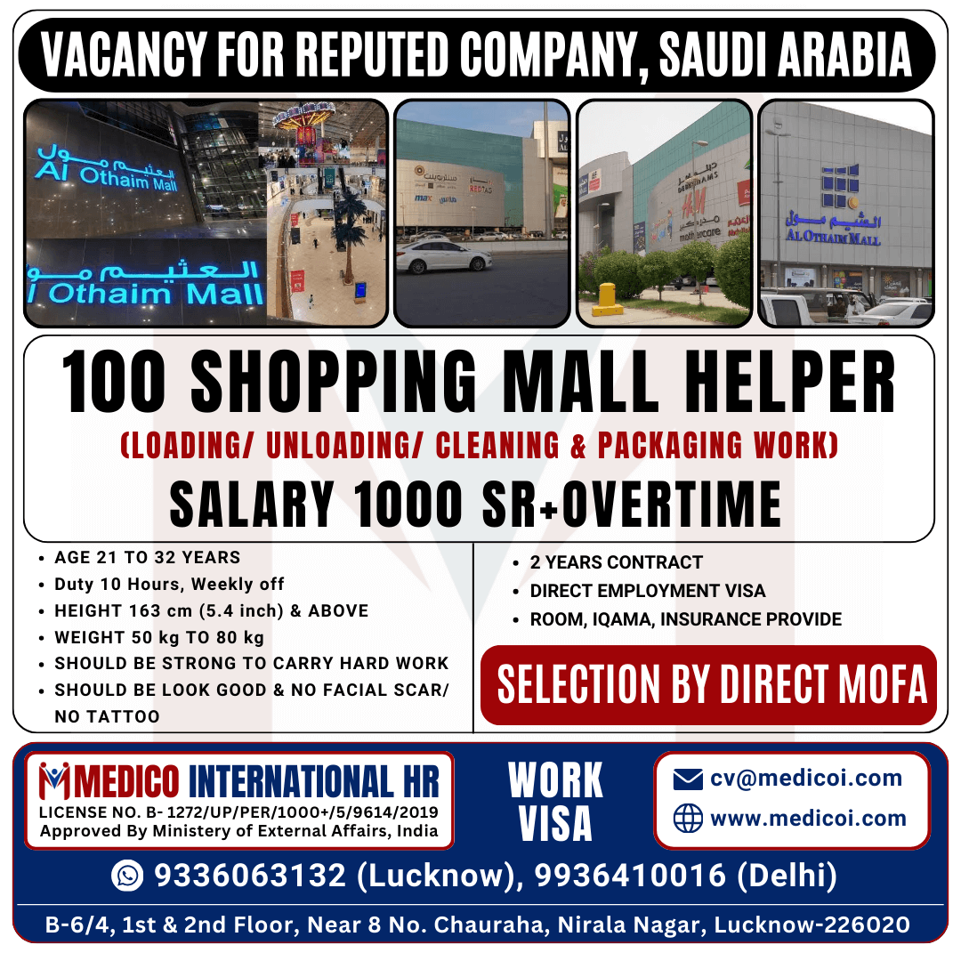 100 SHOPPING MALL HELPER