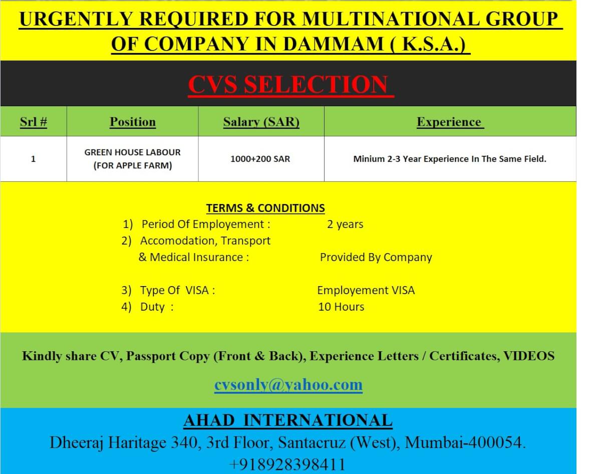 URGENTLY REQUIRED FOR MULTINATIONAL GROUP OF COMPANY DAMMAM K.S.A.