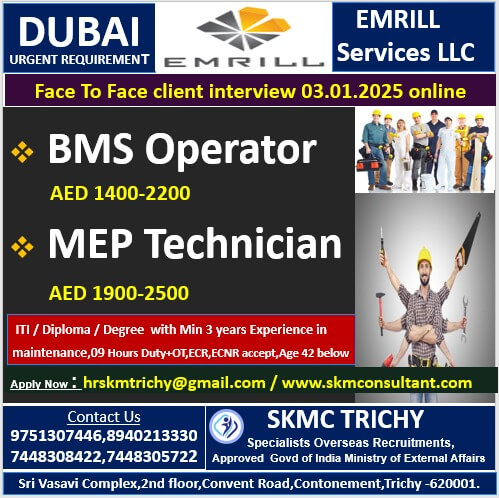 DUBAI - EMRILL Services LLC