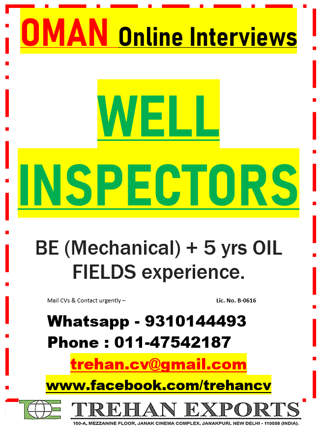 WELL INSPECTORS