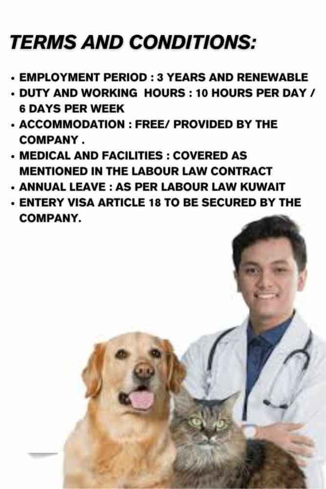 HIRING VETERINARY DOCTOR FOR KUWAIT